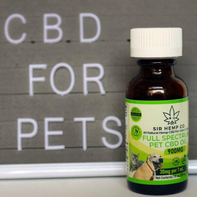 What Are the Top Benefits of Using CBD for Cats & Dogs?