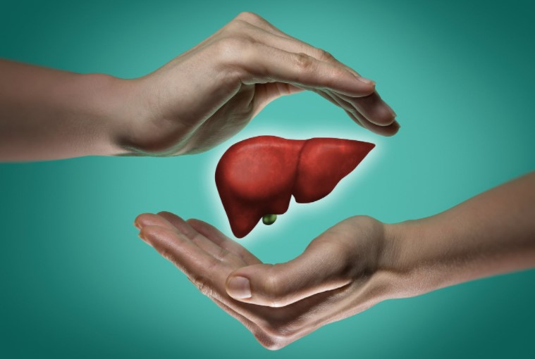 The Needed Nutrition for a Healthy Liver￼