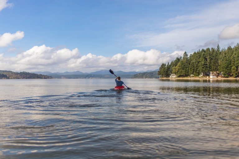 Kayak or Paddle Board: Which One Should You Rent